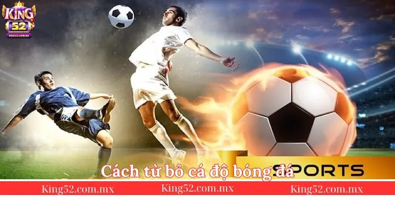 cach-tu-bo-ca-do-bong-da