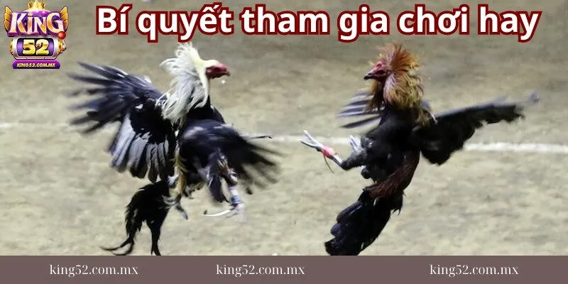 Điem-thu-hut-nguoi-choi-ca-do-da-ga-Thomo
