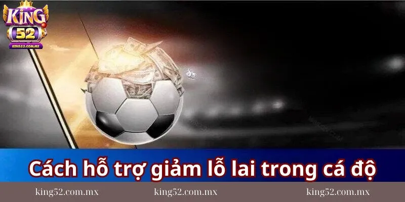 Cách hỗ trợ người chơi giảm lỗ lai trong cá độ